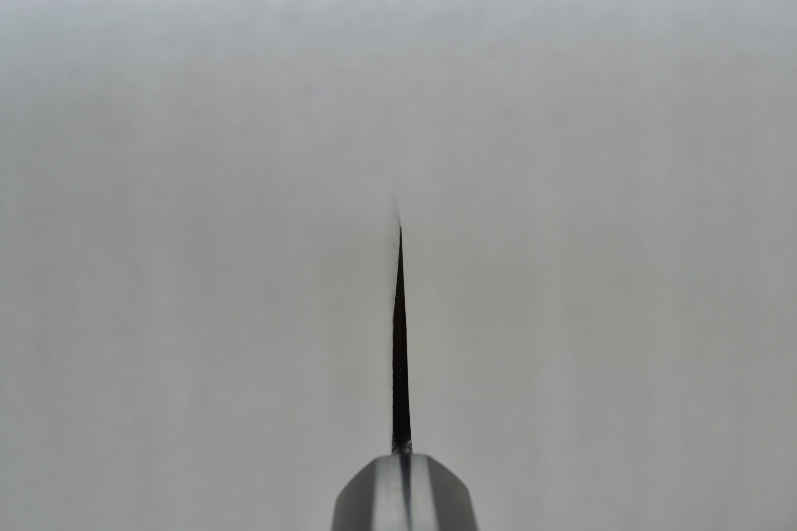 Ishizuchi Kurouchi Aogami 2 Gyuto 210mm - Image 4