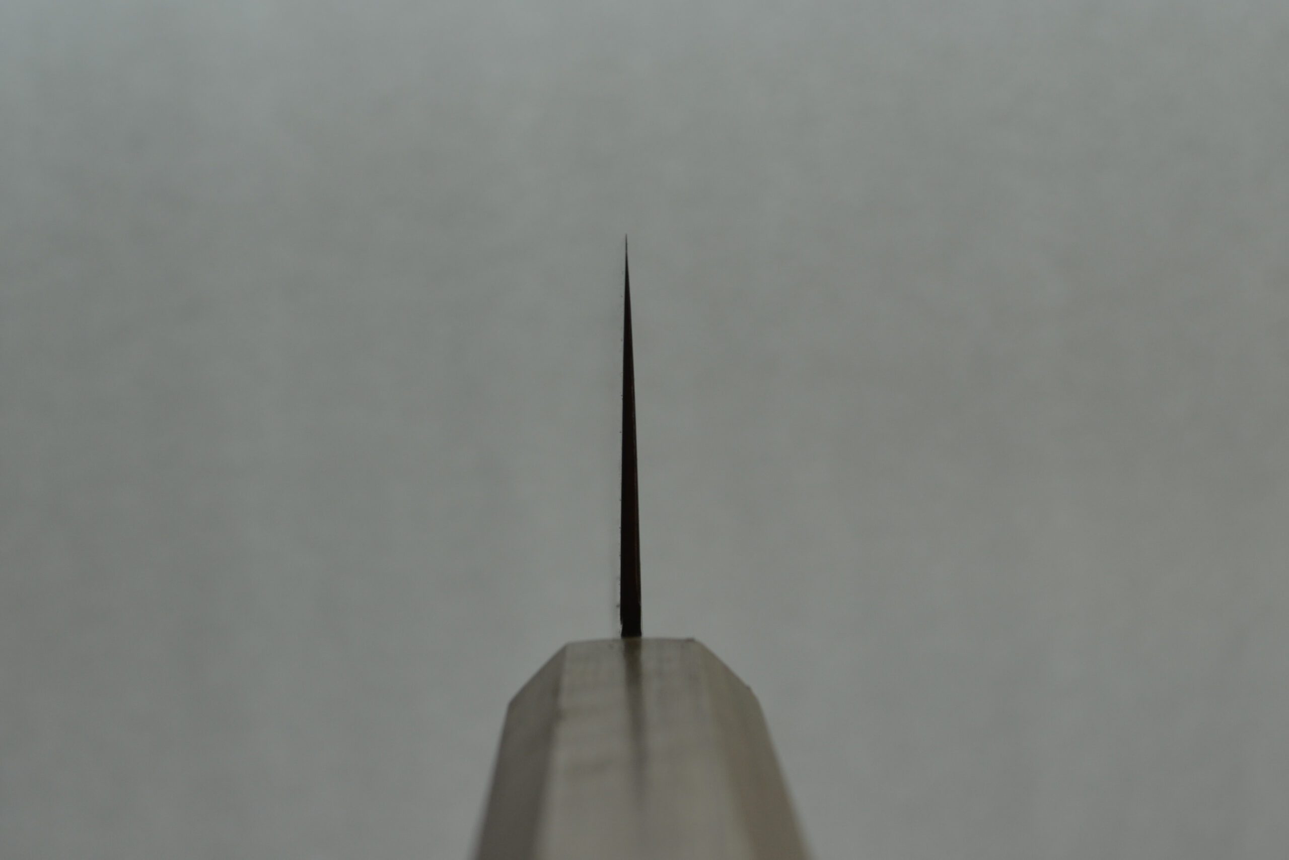 Hatsukokoro Ryuhyo Santoku 180mm - Image 7